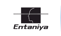 Entaniya��������һ�ҹ�˾?