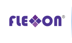 Flexxon��������һ�ҹ�˾?