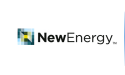 NewEnergy��������һ�ҹ�˾?