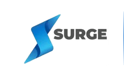 Surge (Surge Components)��������һ�ҹ�˾?