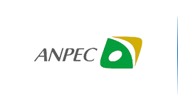 Anpec Electronicsһҹ˾?