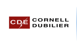 CDE��˾ (Cornell Dubilier, Knowles)����
