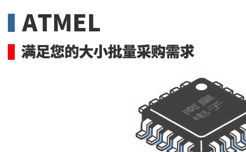 Atmel �������Ĵ�С�����ɹ�����