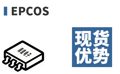 EPCOS �ֻ�����