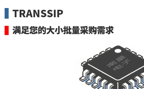 TransSiP �������Ĵ�С�����ɹ�����