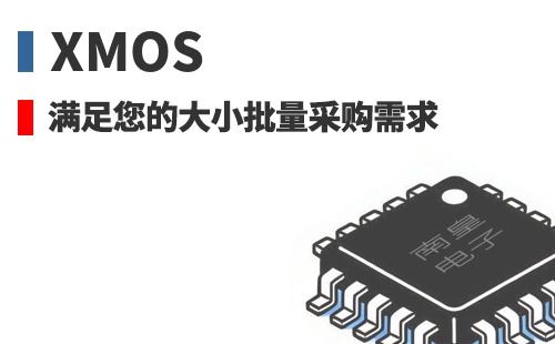 XMOS �������Ĵ�С�����ɹ�����