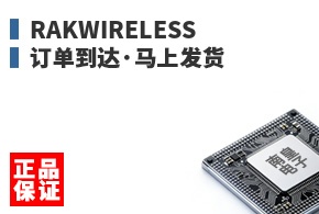 RAKwireless ����������Ϸ���