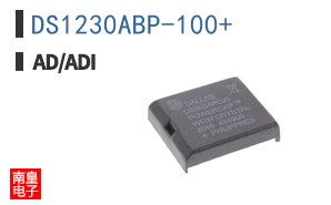 DS1230ABP-100