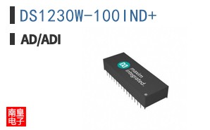 DS1230W-100IND
