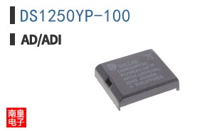 DS1250YP-100+