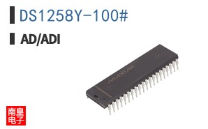 DS1258Y-100#