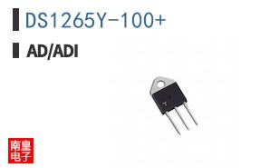 DS1265Y-100+