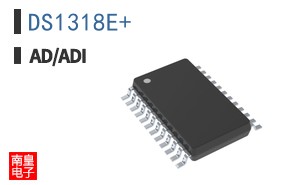 DS1318E+