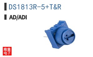 DS1813R-5/T&R