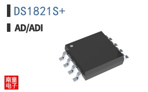 DS1821S+