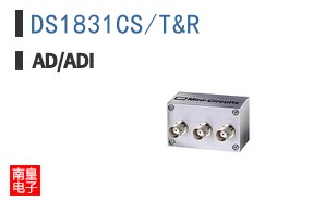 DS1831CS/T&R