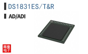 DS1831ES/T&R