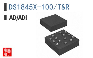 DS1845X-100/T&R