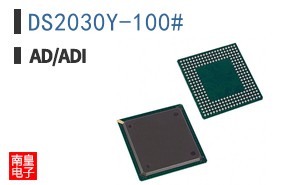 DS2030Y-100#