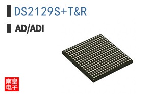 DS2129S+T&R