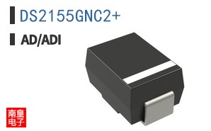 DS2155GNC2+