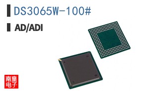 DS3065W-100#