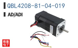 QBL4208-81-04-019