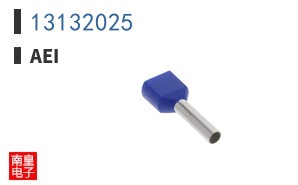 13132025
