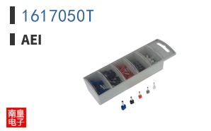 1617050T