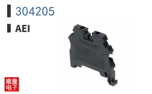 304205