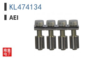 KL474134