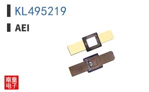 KL495219
