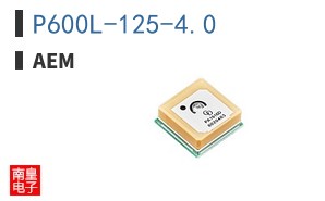 P600L-125-4.0