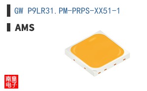 GW P9LR31.PM-PRPS-XX51-1