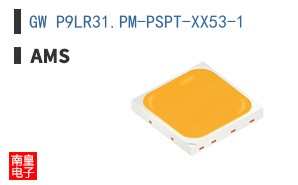 GW P9LR31.PM-PSPT-XX53-1
