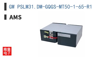 GW PSLM31.DM-GQGS-MT50-1-65-R18