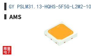GY PSLM31.13-HQHS-5F5G-L2M2-100-R18