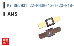 KY DELMS1.22-RHSH-45-1-20-R18-SV