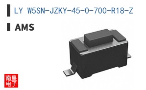 LY W5SN-JZKY-45-0-700-R18-Z