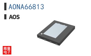 AONA66813
