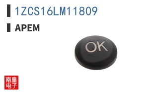 1ZCS16LM11809