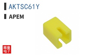 AKTSC61Y