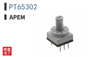 PT65302