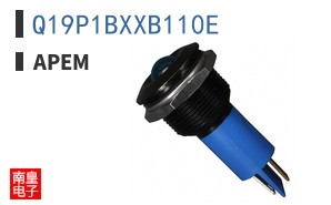Q19P1BXXB110E