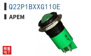 Q22P1BXXG110E