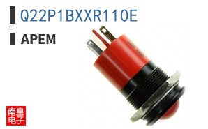 Q22P1BXXR110E