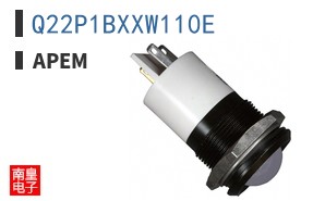 Q22P1BXXW110E