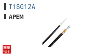T1SG12A