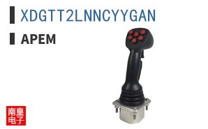 XDGTT2LNNCYYGAN