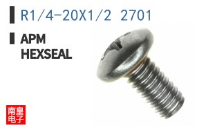 R1/4-20X1/2 2701